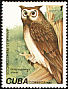 Extinct Owl sp Ornimegalonyx oteroi