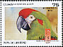 Red-fronted Macaw Ara rubrogenys