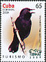 Red-shouldered Blackbird Agelaius assimilis