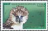 Philippine Eagle Pithecophaga jefferyi