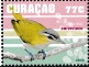 Chivi Vireo Vireo chivi