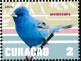 Indigo Bunting Passerina cyanea