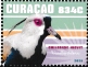 Southern Lapwing Vanellus chilensis