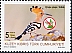Eurasian Hoopoe Upupa epops