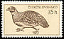 Grey Partridge Perdix perdix