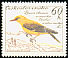 Eurasian Golden Oriole Oriolus oriolus