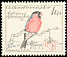 Eurasian Bullfinch Pyrrhula pyrrhula  1959 Birds 