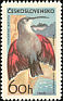 Wallcreeper Tichodroma muraria  1965 Mountain birds 