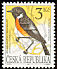 European Stonechat Saxicola rubicola  1994 Birds 