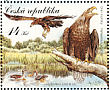 White-tailed Eagle Haliaeetus albicilla  2008 Trebonsko fauna 4v sheet