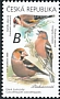 Eurasian Chaffinch Fringilla coelebs