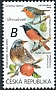 Common Redstart Phoenicurus phoenicurus  2020 Songbirds 