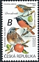 Fieldfare Turdus pilaris