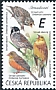 Ortolan Bunting Emberiza hortulana