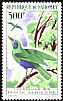 Emerald Starling Lamprotornis iris  1966 Birds 