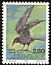 Northern Raven Corvus corax