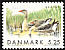 Greylag Goose Anser anser  1999 Migratory birds 