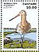 Black-tailed Godwit Limosa limosa  2015 Wadden Sea national park 3v sheet