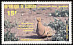 Chestnut-bellied Sandgrouse Pterocles exustus  1985 Audubon 