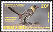 Yellow-breasted Barbet Trachyphonus margaritatus  1985 Audubon 