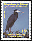 Western Reef Heron Egretta gularis  1991 Birds 