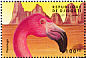 American Flamingo Phoenicopterus ruber  2000 Wildlife 8v sheet