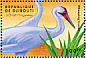 Whooping Crane Grus americana