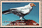 Egyptian Vulture Neophron percnopterus  2000 Birds Strip