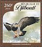 Black-chested Buzzard-Eagle Geranoaetus melanoleucus  2016 Eagles Sheet