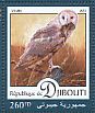 Western Barn Owl Tyto alba