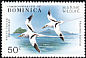 White-tailed Tropicbird Phaethon lepturus  1979 Marine wildlife 6v set