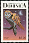 American Barn Owl Tyto furcata