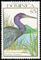 Little Blue Heron Egretta caerulea  1990 Birds 