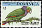 Imperial Amazon Amazona imperialis