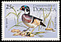 Wood Duck Aix sponsa  1995 Birds 