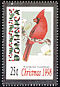 Northern Cardinal Cardinalis cardinalis  1998 Christmas 