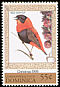 Northern Red Bishop Euplectes franciscanus  1999 Christmas 