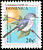 Blue-grey Gnatcatcher Polioptila caerulea