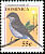 Red-legged Thrush Turdus plumbeus