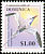 Red-billed Tropicbird Phaethon aethereus  2001 Bird definitives 