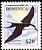 Sooty Tern Onychoprion fuscatus