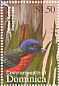 Painted Bunting Passerina ciris