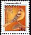 Baltimore Oriole Icterus galbula  2004 Bird definitives 