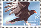 Turkey Vulture Cathartes aura