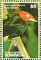 Red-capped Manakin Ceratopipra mentalis