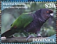 Imperial Amazon Amazona imperialis  2020 Wildlife 6v sheet