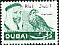 Lanner Falcon Falco biarmicus  1967 Definitives 