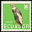 Andean Condor Vultur gryphus  1958 Tropical birds 