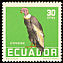 Andean Condor Vultur gryphus