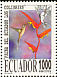 Long-billed Hermit Phaethornis longirostris  1995 Hummingbirds 